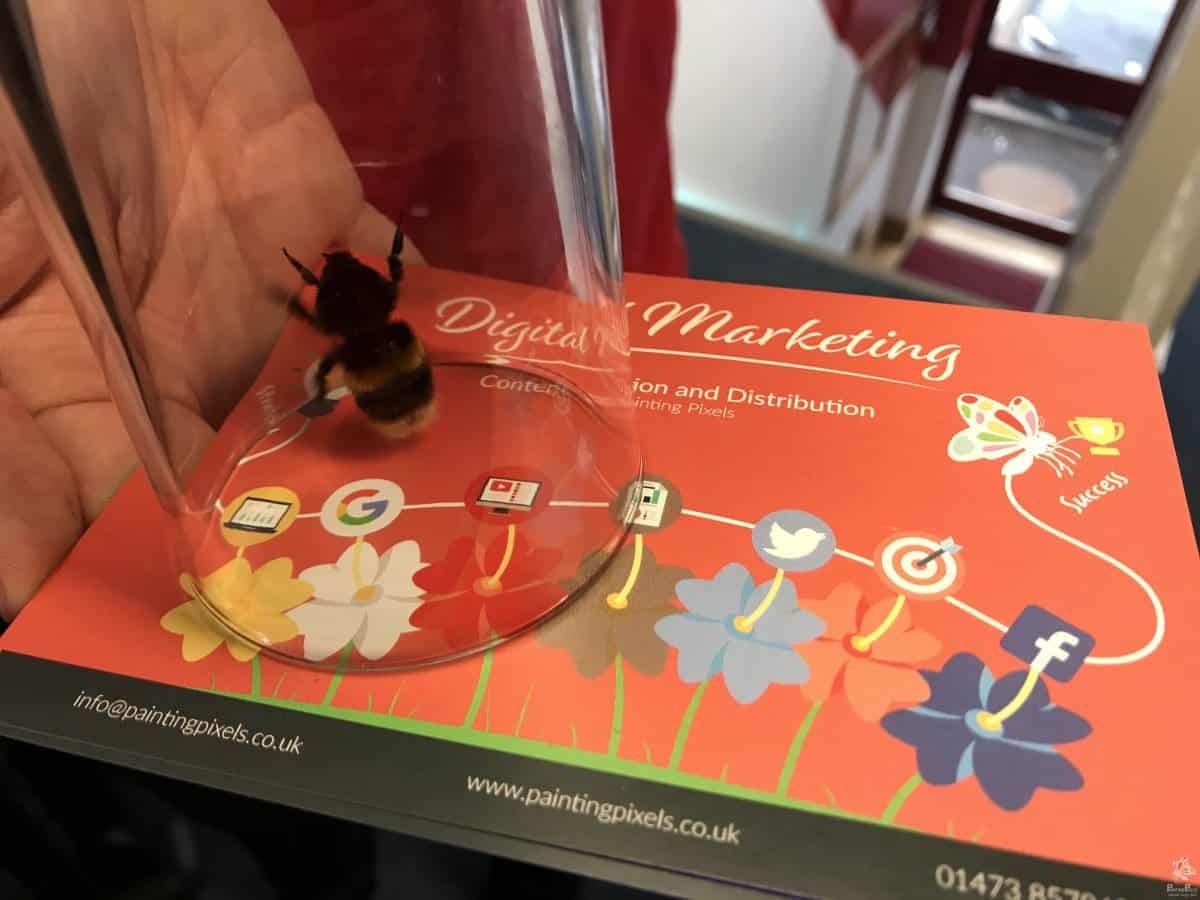 We Had A Visitor Today