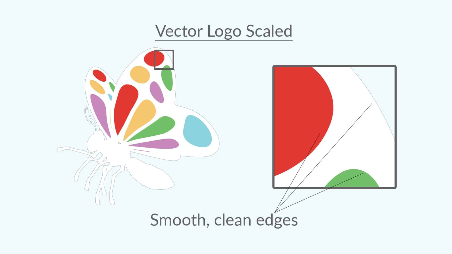 Vector And Bitmap Images - What Is The Difference? - Ipswich