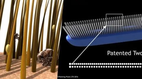 Shanty Pet Comb 3D Animation Explainer Video