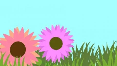 Sucralose – 2D Animation