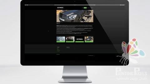 Strex Bespoke Logo Graphic Design and Website